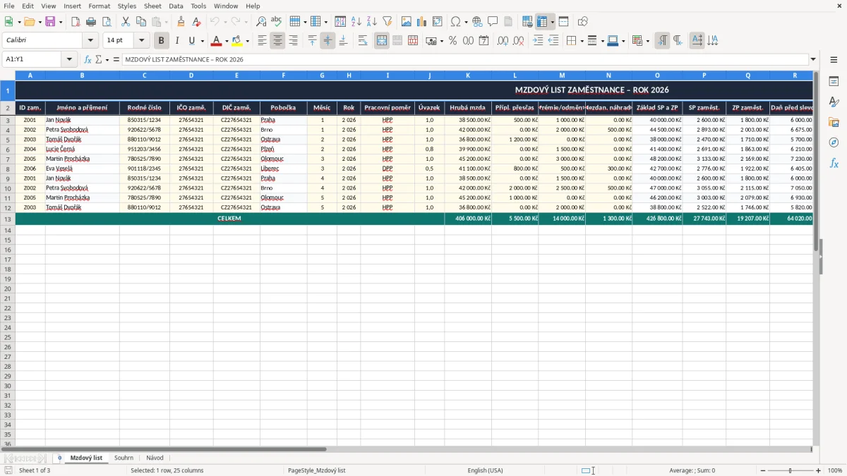 Snímek obrazovky 1: list Mzdový list - Excelová šablona mzdový list zaměstnance excel šablona